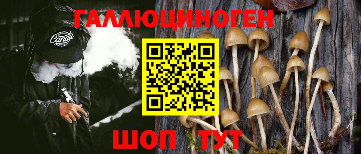 Псилоцибиновые грибы Psilocybine cubensis Биробиджан