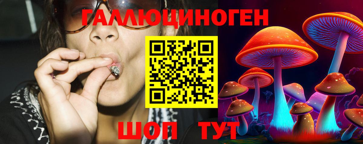Галлюциногенные грибы прущие грибы  Псилоцибиновые грибы Psilocybine cubensis  цены   Биробиджан  Вход с VPN 